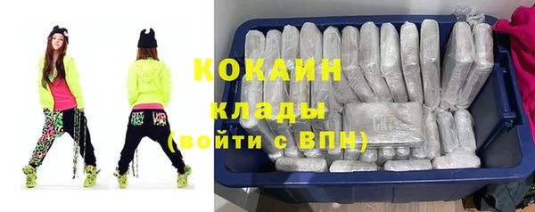 spice Гусь-Хрустальный