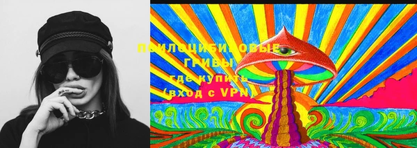 spice Гусь-Хрустальный