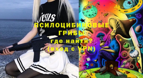 твердый Гусиноозёрск
