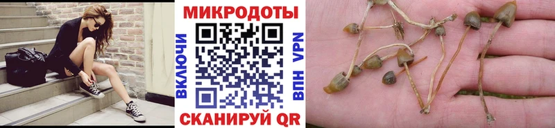 Галлюциногенные грибы MAGIC MUSHROOMS  Купить закладки  Рыбинск 