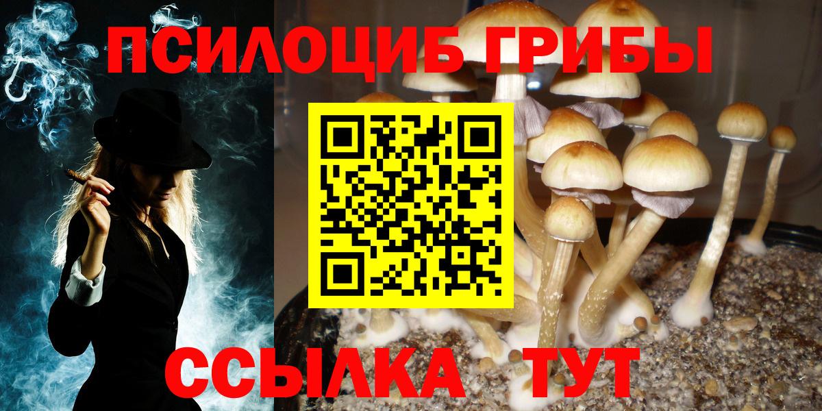 Псилоцибиновые грибы мухоморы  Псилоцибиновые грибы ЛСД  Рыбинск  Вход с VPN 